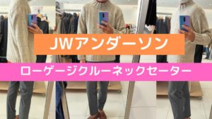 2020JWアンダーソンローゲージクルーネックセーターのアイキャッチ画像